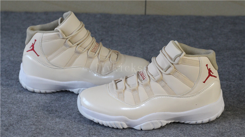 Air Jordan 11 20th Anniversary